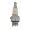 CHAMPION (FEDERAL-MOGUL) CJ8/T10