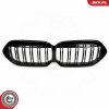 Mriežka chladiča ESEN SKV 66SKV038