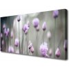 Obraz Canvas Poľné kvety lúka príroda 100x50 cm Obraz Canvas Poľné kvety lúka príroda 100x50 cm