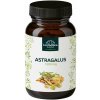 Unimedica Astragalus Extrakt (extrakt z Kozinca) 1200 mg, 90 kapsúl Unimedica Astragalus Extrakt (extrakt z Kozinca) 1200 mg, 90 kapsúl