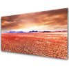 Nástenný panel Púšť krajina 100x50 cm Nástenný panel Púšť krajina 100x50 cm