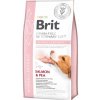 Brit Veterinary Diets GF dog Hypoallergenic 2 kg Brit Veterinary Diets GF dog Hypoallergenic 2 kg