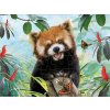 PRIME 3D PUZZLE Červená panda 48 ks
