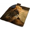 Sablio Plážová deka Lev 3: 200x140 cm Sablio Plážová deka Lev 3: 200x140 cm