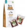 BRIT CARE Dog Grain-free Senior & Light Salmon 12kg & WILD FARM Mix príchutí 2x500g BRIT CARE Dog Grain-free Senior & Light Salmon 12kg & WILD FARM Mix príchutí 2x500g