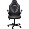 TRUST GXT 703 RIYE gaming chair black