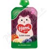 Hami Lesní ovoce kapsička 100g 6m+ Hami Lesní ovoce kapsička 100g 6m+