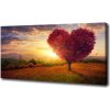 Foto obraz na plátne Strom pole srdce 100x50 cm Foto obraz na plátne Strom pole srdce 100x50 cm