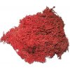 Islandský aranžérsky mach 30g - červený Islandský aranžérsky mach 30g - červený