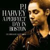 CD PJ Harvey: A Perfect Day In Boston CD PJ Harvey: A Perfect Day In Boston