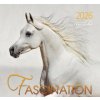 Fascination 2026 (Kalendár) Fascination 2026 (Kalendár)