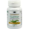 NástrojeZdraví Gurmar Gymnema sylvestre 60 kapsúl