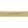 Dlažba imitácia dreva Concorde Miel Mate 23 x 120 cm hnedá Dlažba imitácia dreva Concorde Miel Mate 23 x 120 cm hnedá