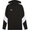 Puma Teamevostripe Hoody 659954-03