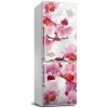 Foto tapeta na chladničku Ružová orchidea 60x180 cm Foto tapeta na chladničku Ružová orchidea 60x180 cm