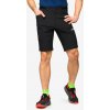 adidas TERREX Xperior Shorts black