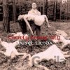 Daniel Landa: Chcíply dobrý víly LP - Daniel Landa Daniel Landa: Chcíply dobrý víly LP - Daniel Landa