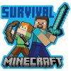 Polštář Minecraft Steve a Alex 3D Polštář Minecraft Steve a Alex 3D