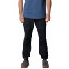 Columbia Landroamer Utility Pant II M black