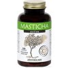 Apothecary Masticha active 45 g 100 kapsúl Apothecary Masticha active 45 g 100 kapsúl