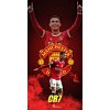 PUZZLE Personalizované PUZZLE MANCHESTER UNITED RONALDO CR7 Darček 252 dielikov A3 PUZZLE Personalizované PUZZLE MANCHESTER UNITED RONALDO CR7 Darček 252 dielikov A3