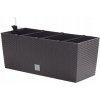 Prosperplast Truhlík RATO CASE 60cm umbra Prosperplast Truhlík RATO CASE 60cm umbra