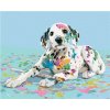 Maľovanie podľa čísel – Dalmatín a rozliate farby, 40 × 50 cm, napnuté plátno na rám 8596530067610 Maľovanie podľa čísel – Dalmatín a rozliate farby, 40 × 50 cm, napnuté plátno na rám 8596530067610