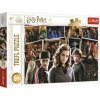 TREFL Harry Potter s přáteli 160 dielov TREFL Harry Potter s přáteli 160 dielov