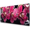 Sklenený obklad Do kuchyne Kvety orchidey výhonky príroda 100x50 cm Sklenený obklad Do kuchyne Kvety orchidey výhonky príroda 100x50 cm