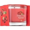 Yankee Candle Red Raspberry votívna sviečka 37 g Yankee Candle Red Raspberry votívna sviečka 37 g