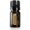 DoTerra Caraway - Rascový esenciálny olej 5 ml (Rasca lúčna) DoTerra Caraway - Rascový esenciálny olej 5 ml (Rasca lúčna)