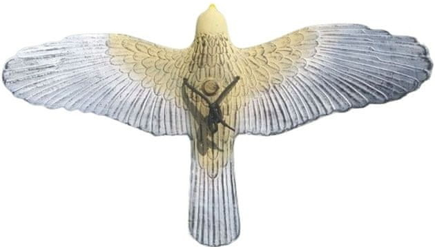 Maketa dravca - Lietajúci jastrab svetlý (Plašič vtákov - lietajúci jastrab svetlý)