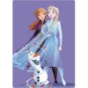 BrandMac Fialová detská deka Frozen II BrandMac Fialová detská deka Frozen II