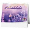 Levandule 2026 - stolní kalendář Levandule 2026 - stolní kalendář