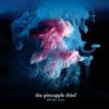 2LP The Pineapple Thief: All The Wars LTD 2LP The Pineapple Thief: All The Wars LTD