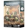 Games Workshop T'au Empire: Kroot Hounds (Warhammer 40,000) Games Workshop T'au Empire: Kroot Hounds (Warhammer 40,000)