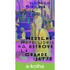 E-kniha Nedeľné popoludnie na ostrove La Grande Jatte - Veronika Šikulová E-kniha Nedeľné popoludnie na ostrove La Grande Jatte - Veronika Šikulová