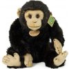 Rappa Plyšový šimpanz 27 cm ECO-FRIENDLY Rappa Plyšový šimpanz 27 cm ECO-FRIENDLY