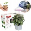 Stojaca lampa GROW na pestovanie rastlín Emos 5 W Stojaca lampa GROW na pestovanie rastlín Emos 5 W