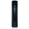 Paul Mitchell Awapuhi Wild Ginger Style Finishing Spray - Lak na vlasy 300 ml Paul Mitchell Awapuhi Wild Ginger Style Finishing Spray - Lak na vlasy 300 ml