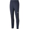 Puma Teamcup Training Pants navy
