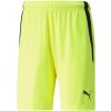 Puma TEAM LIGA SHORTS