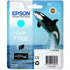 Cartridge Epson T7602 azúrová (C13T76024010) Cartridge Epson T7602 azúrová (C13T76024010)