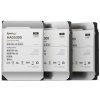 Synology HAS5300 12TB, HAS5300-12T Synology HAS5300 12TB, HAS5300-12T