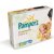 Pampers Premium care 1 newborn 2-5kg 78ks foto 7