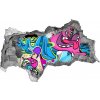 Foto fotografie diera na stenu Grafiti 95x73 cm Foto fotografie diera na stenu Grafiti 95x73 cm