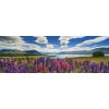 HEYE Panoramatické puzzle Jezero Tekapo, Nový Zéland 1000 dílků HEYE Panoramatické puzzle Jezero Tekapo, Nový Zéland 1000 dílků