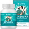 Liftea Kombucha - Pamäť a koncentrácia, 60 kapsúl Probiotiká a kognitívne funkcie Liftea Kombucha - Pamäť a koncentrácia, 60 kapsúl Probiotiká a kognitívne funkcie