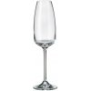 CRYSTALITE BOHEMIA BOHEMIA ANSER POHÁR NA ŠAMPANSKÉ 290ML SADA 6 KS CRYSTALITE BOHEMIA BOHEMIA ANSER POHÁR NA ŠAMPANSKÉ 290ML SADA 6 KS