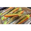 Fox Rage Slick Shad 13 cm prírodný ostriež Fox Rage Slick Shad 13 cm prírodný ostriež